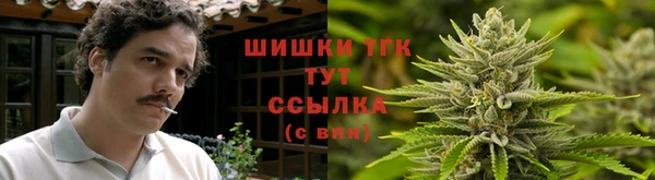 mdma Богданович