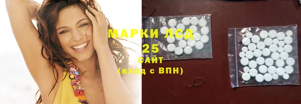 гидра Богородицк
