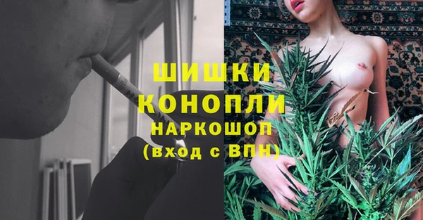 гидра Богородицк