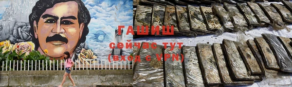 гидра Богородицк