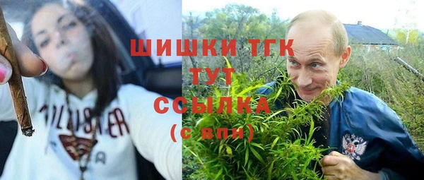 тгк Богородск
