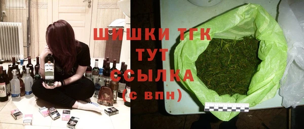 гидра Богородицк